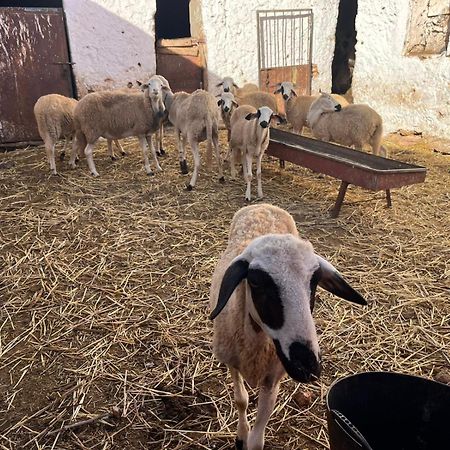 Oulad Abbou Khaima מראה חיצוני תמונה